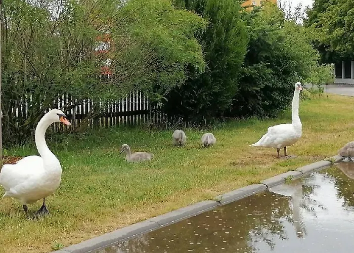 Σπίτι διακοπών U Kempu *